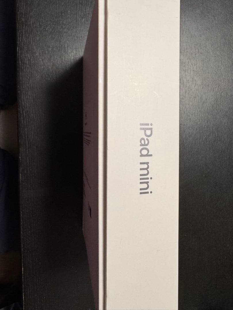 iPad mini スペースグレー 本体+対応Apple pencil