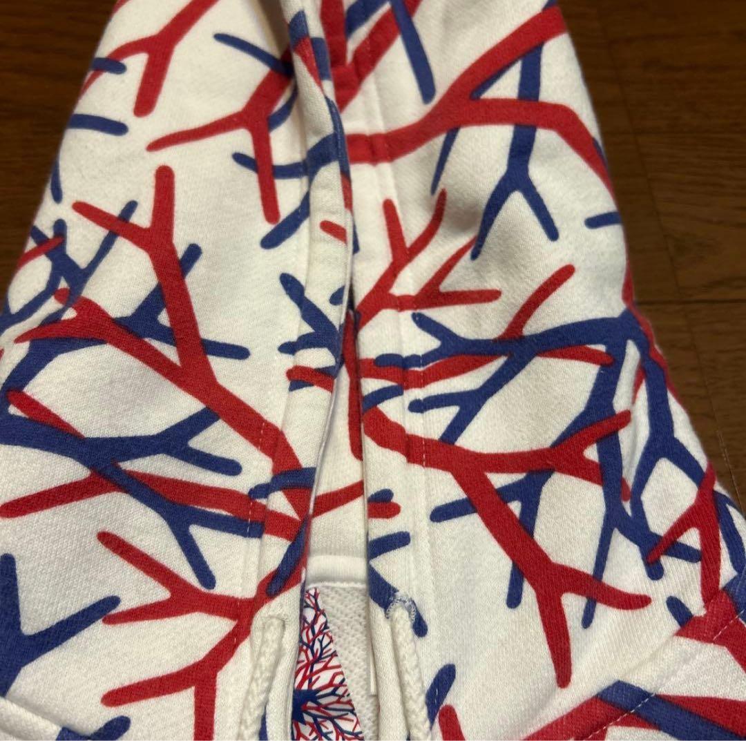 ソ*ン様 PHENOMENON オリジナルカモ