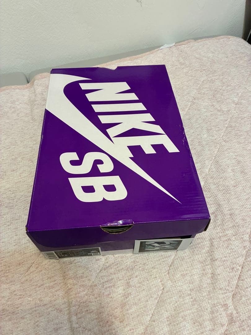 靴 NIKE sb dunk low