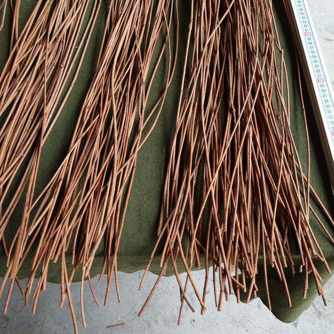 アケビの蔓(根蔓ランナー)