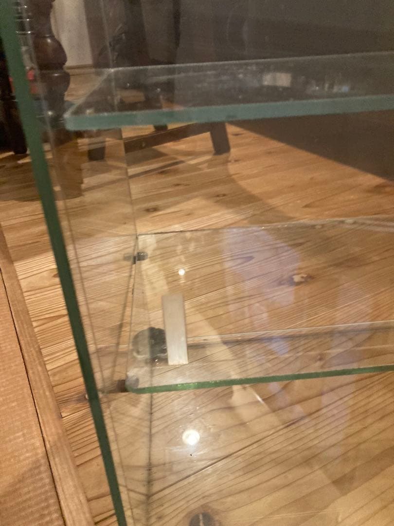 昭和レトロ　ガラスショーケース中棚2段 SANKYO 希少雛壇　背面引戸状態良好