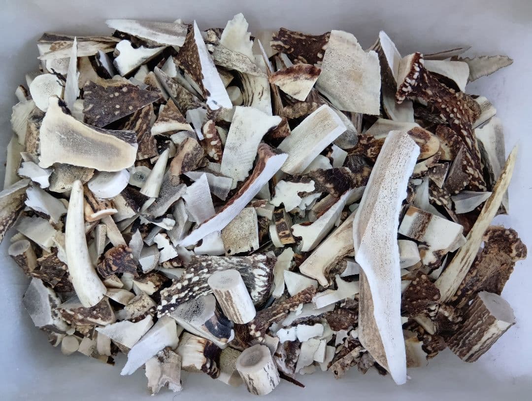 鹿の角　端材　18.7kg エゾシカ 角