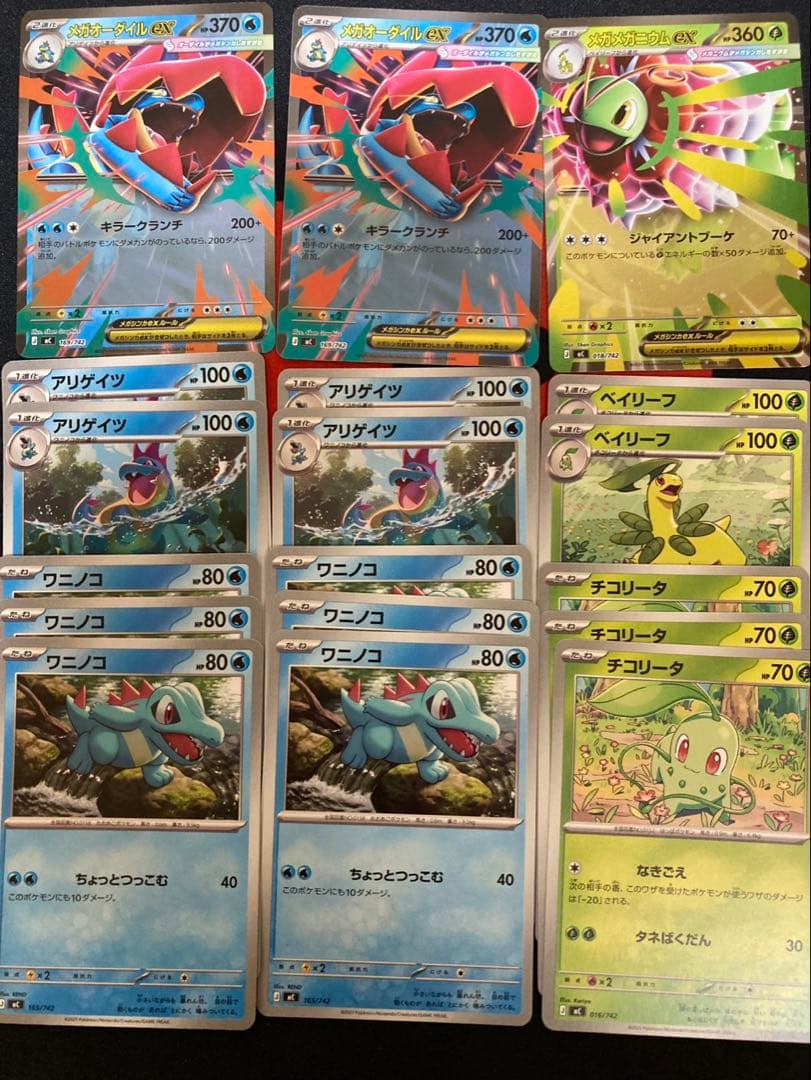 メガオーダイルex2枚　メガメガニウム1枚　+進化ライン