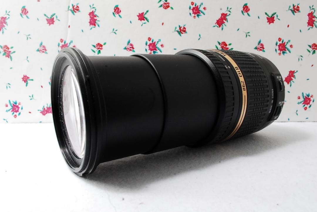 手振れ補正Canon❤️18-270mm❤️超万能❤️ズームレンズ ❤️キャノン