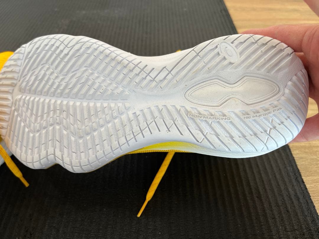 ASICS アシックス　NOVA SURGE2 28.5センチ　新品