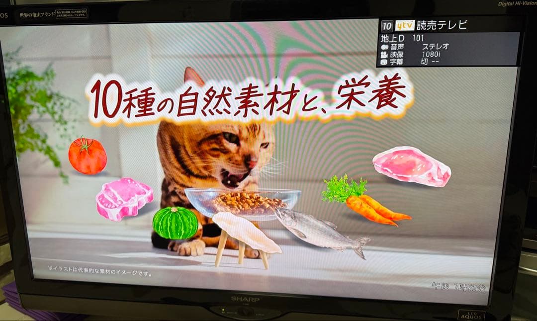 SHARP 40インチ液晶テレビ LC40SE1 2011年製