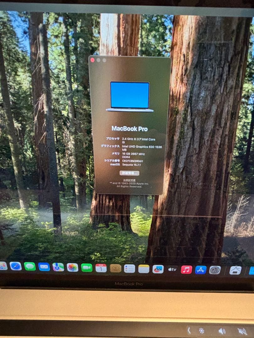 MacBook Pro 16インチ /i9/16GB/512GB/2019