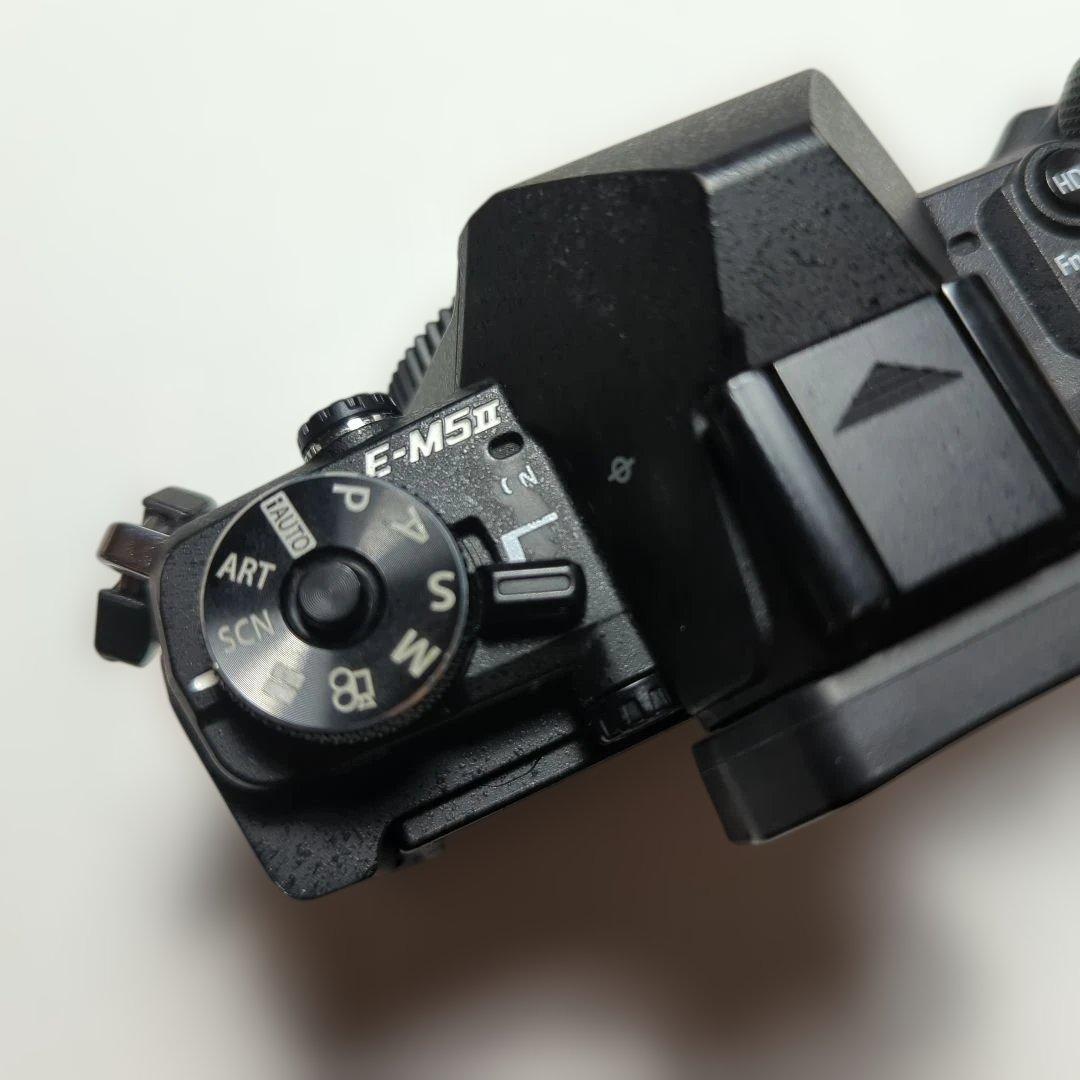 ♫　e-m5　markⅡ OLYMPUS OM-D 　ショット数9646枚