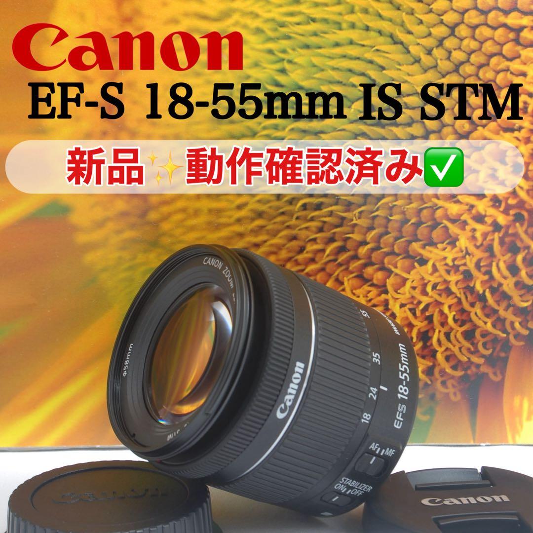 キャノン 手ブレ補正付き レンズ 18-55mm IS STM 初心者オススメ