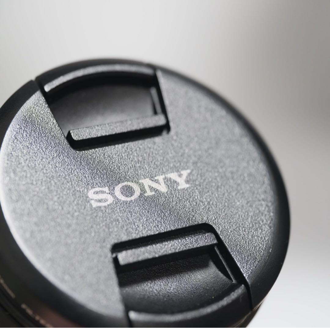 m*c様 SONY ミラーレスカメラ用レンズ FE 16-35mm F4 SEL