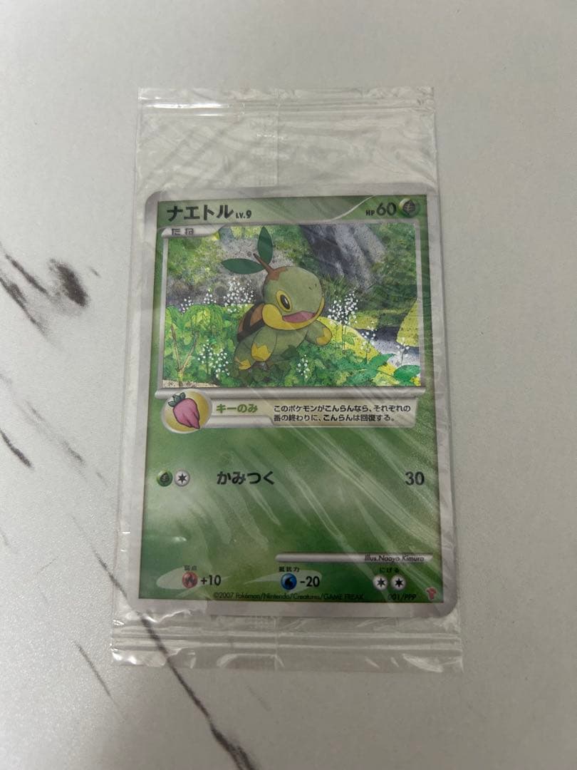 【未開封】トレーナズクラブプロモ　プレイヤーズ ナエトル　ヒコザル　ポッチャマ