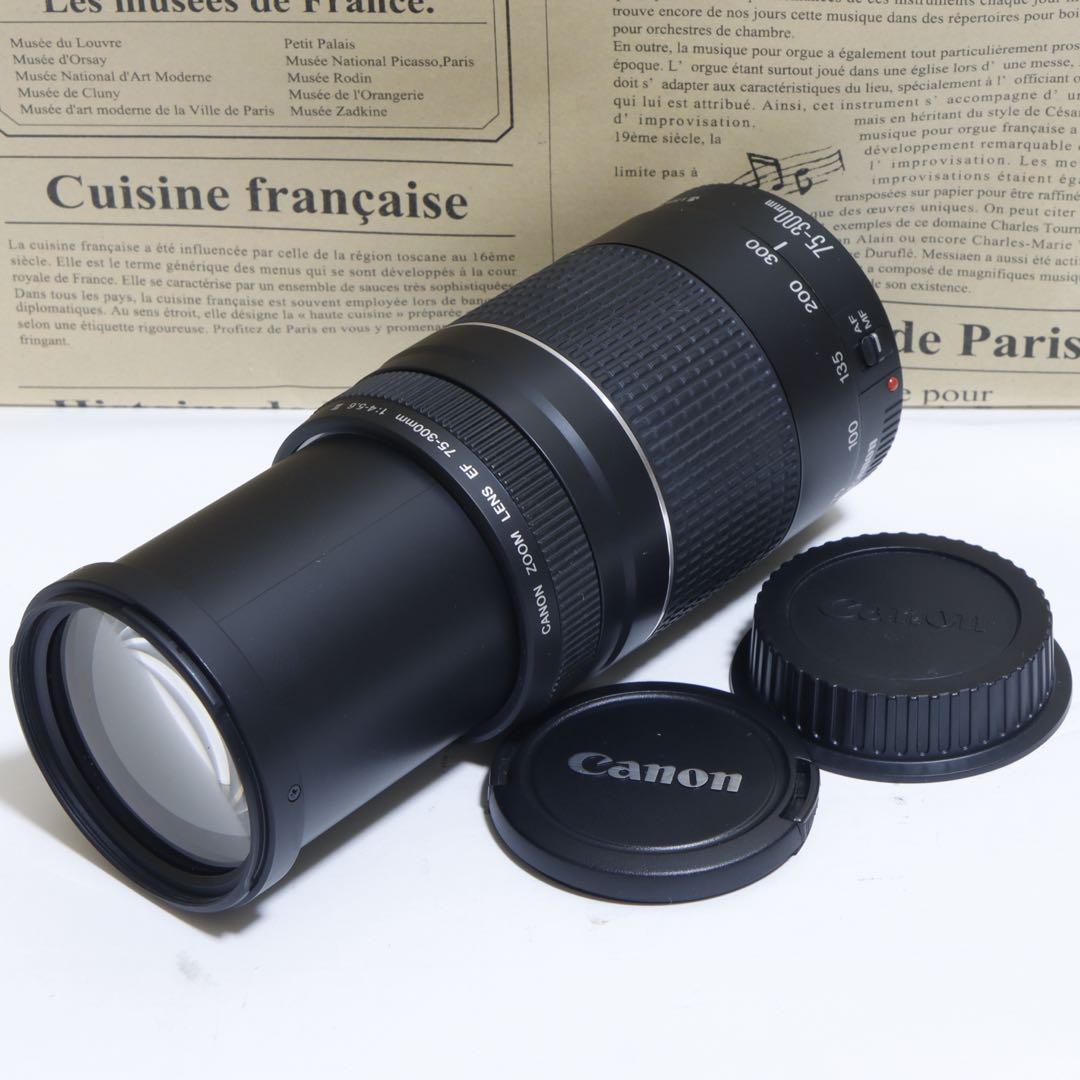 ◇大迫力超望遠!!◇Canon純正 75-300mm III型 超望遠レンズ◇