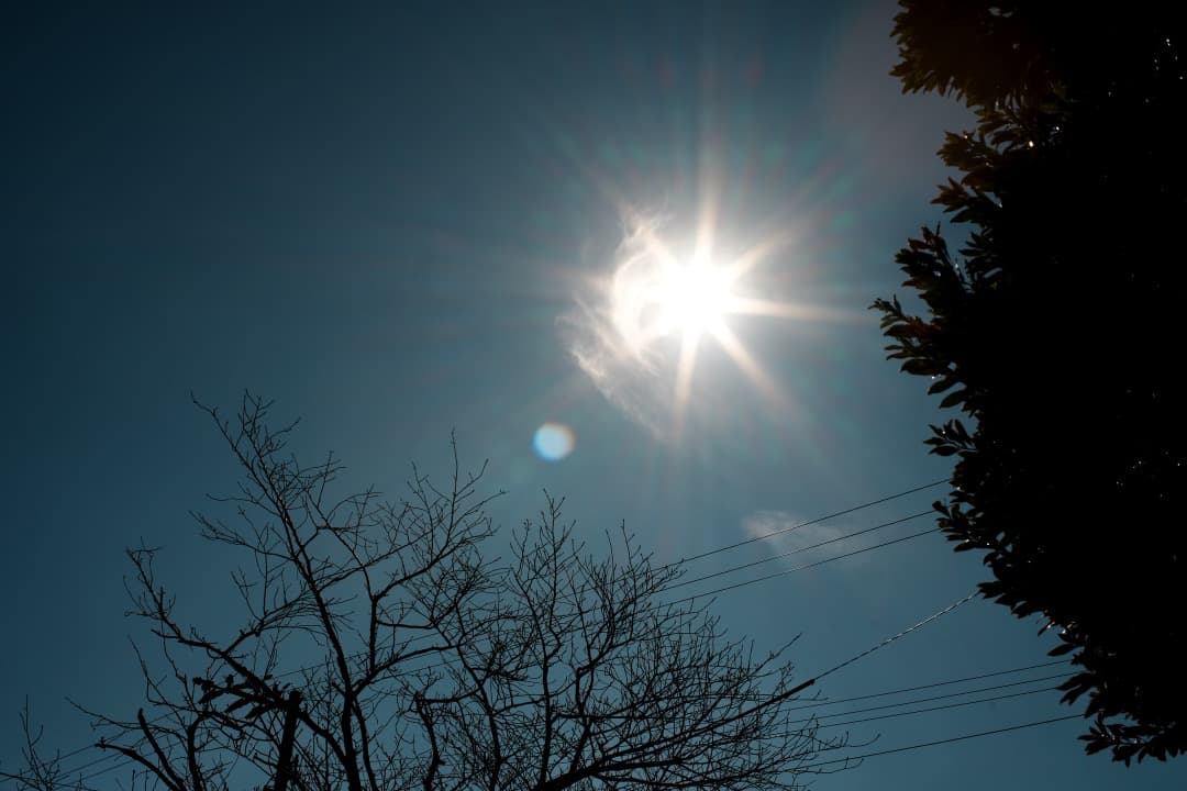 【黄変除去済み】動作◎ SMC Takumar 50mm F1.4 356