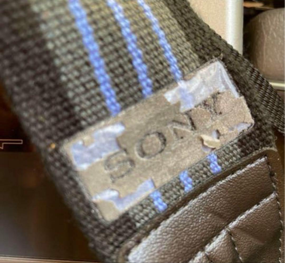 【発送日限定品】SONY CCD-V100