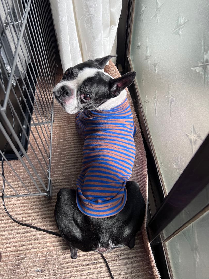 週末限定SALE【椅子】イームズラウンジチェア リプロダクト