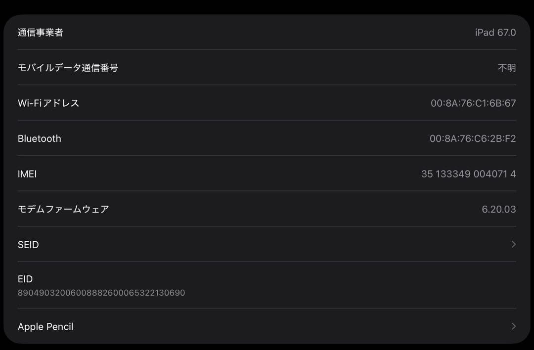 M1 iPad Pro 12.9（第5世代）256GB セット美品