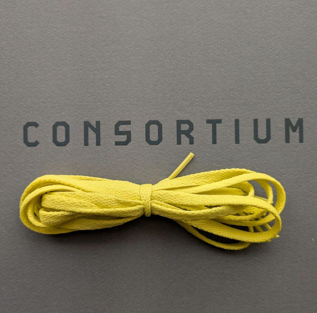 アディダス オリジナルス ZX8000 JC & MT コンソーシアム