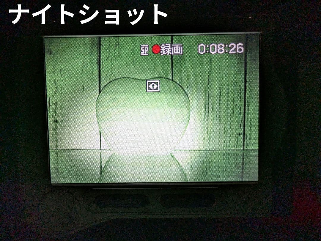 【豪華セット】SONY　DCR-TRV30　MiniDV対応