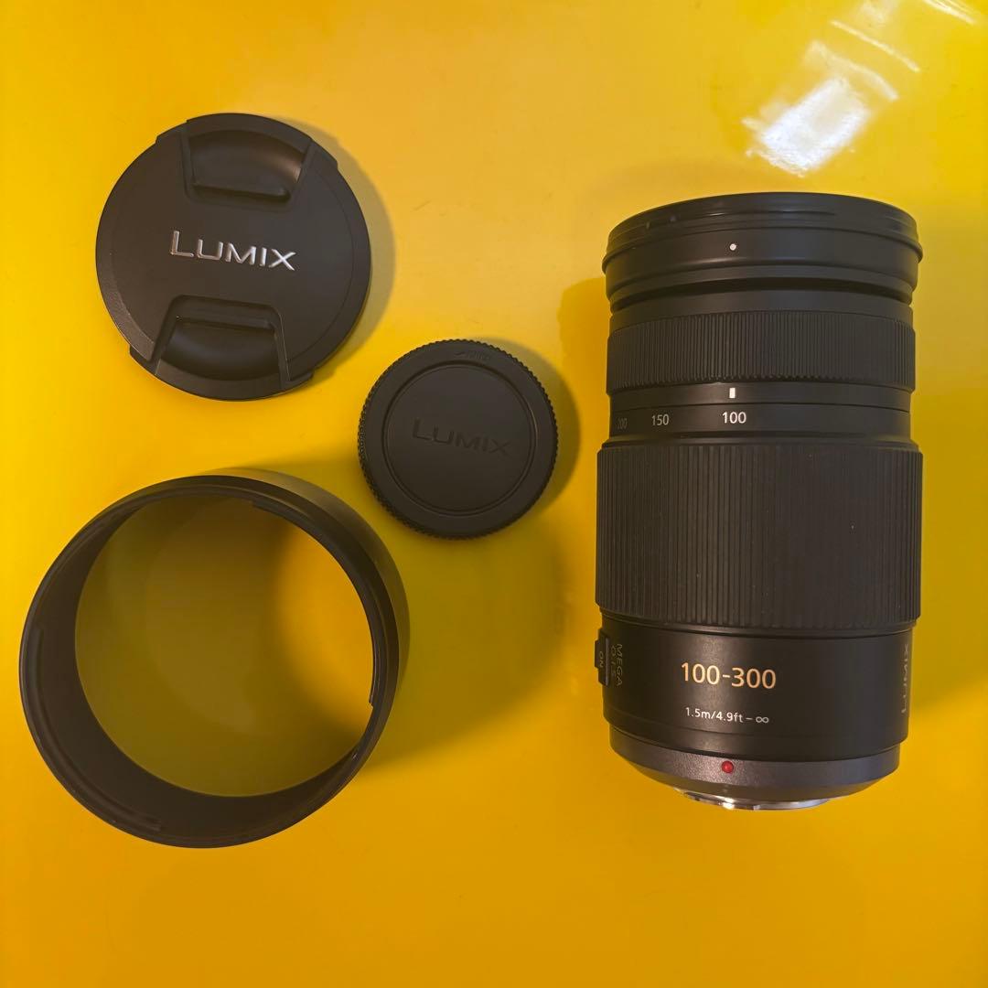 Panasonic LUMIX G VARIO 100-300mmF4-5.6Ⅱ