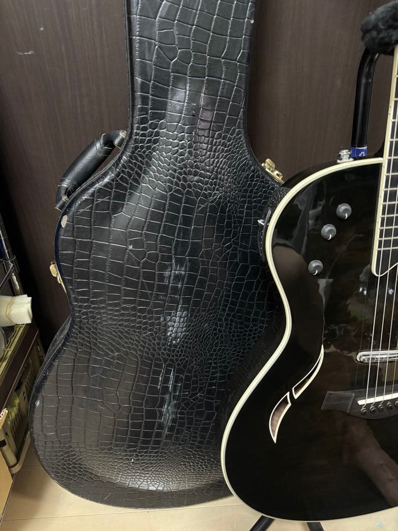 Taylor T5 エレアコ