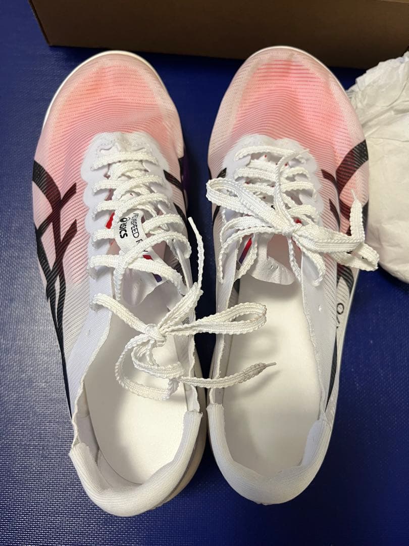 アシックスSPEED RAY メタスピードレイ(25.0)【中古品】