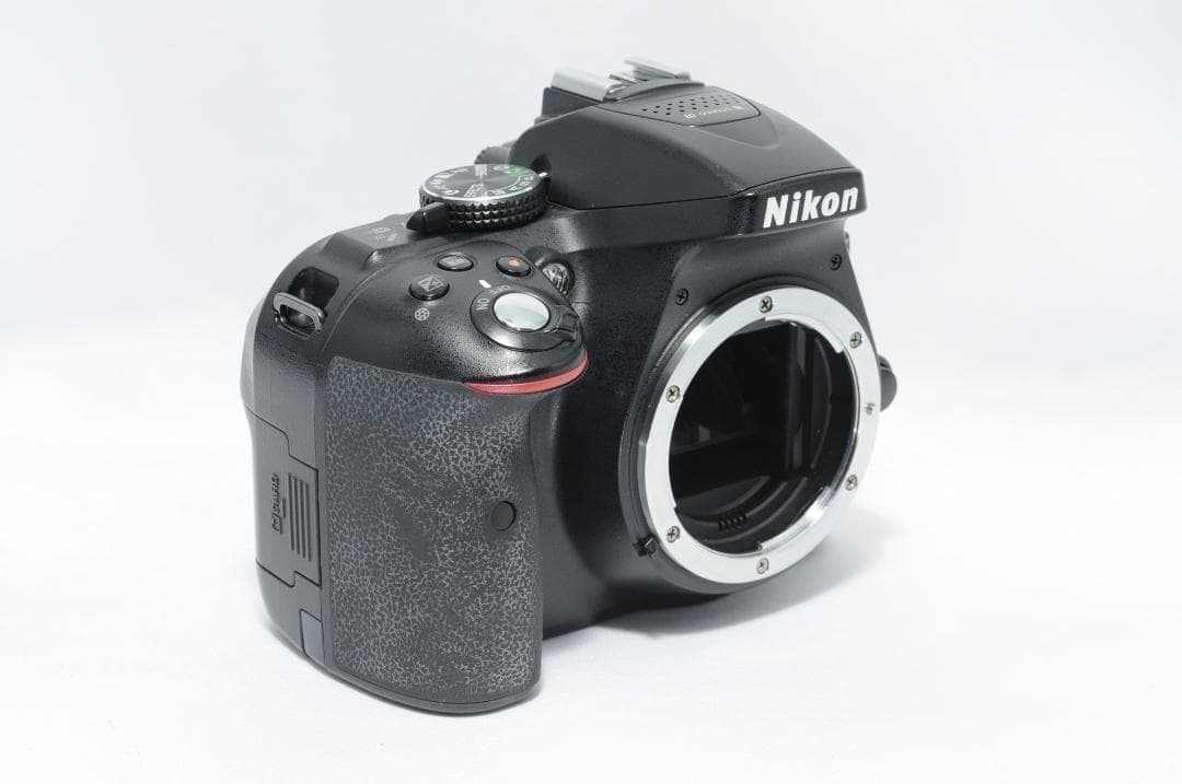 家族も風景写真も綺麗に❤️Nikon D5300✨ダブルレンズ スマホ転送