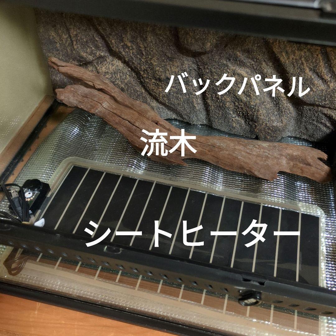 furuさま専用　ガラステラリウム 9045 備品一式つき