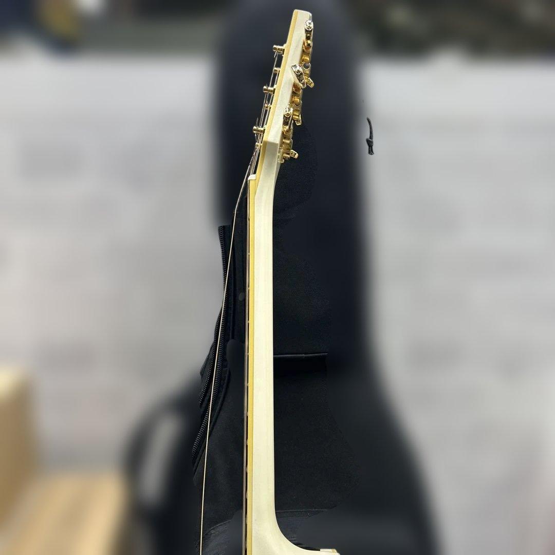 6828 APX1000(PW) ヤマハ エレアコ パールホワイト ソフトケース