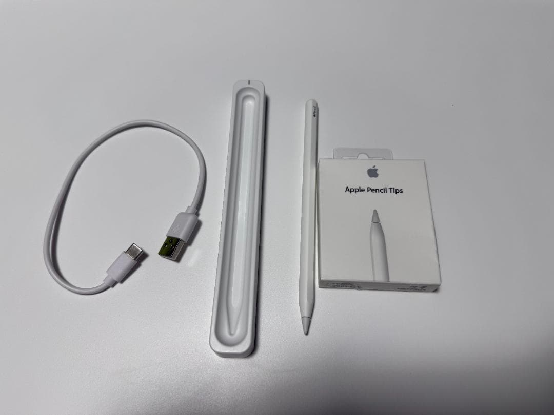 中古 Apple iPad Pro 12.9 6世代 wifi お絵描きセット