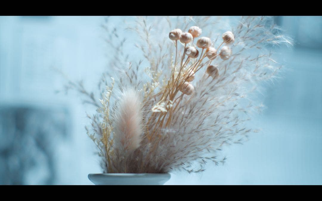 レア？【DXではない】　YASHICA AUTO YASHINON 5cm f2