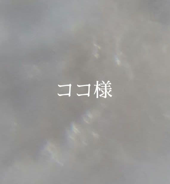 2.ココ様　オーダー