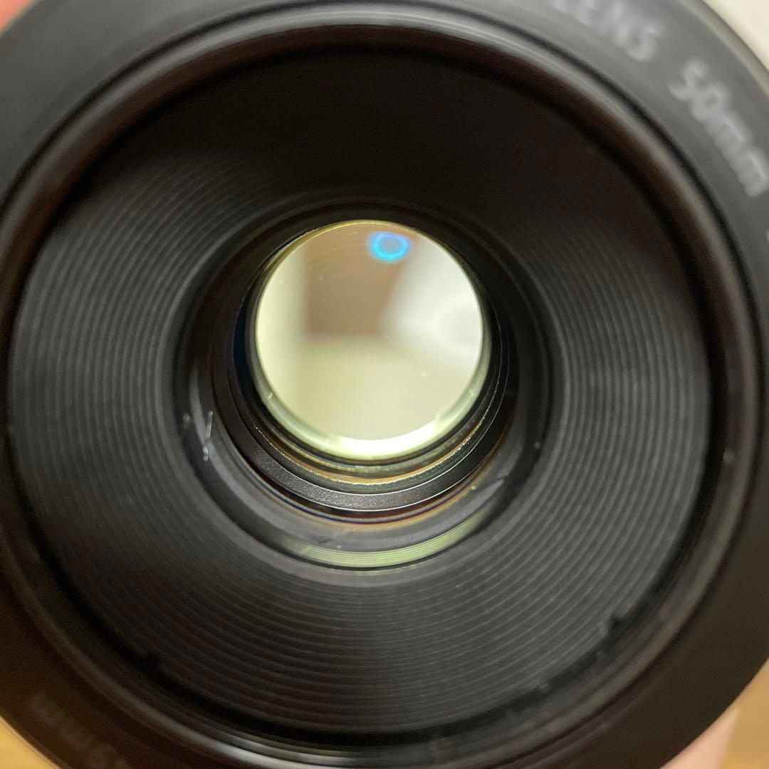 Canon EF 50mm f1.8 STM フード付き