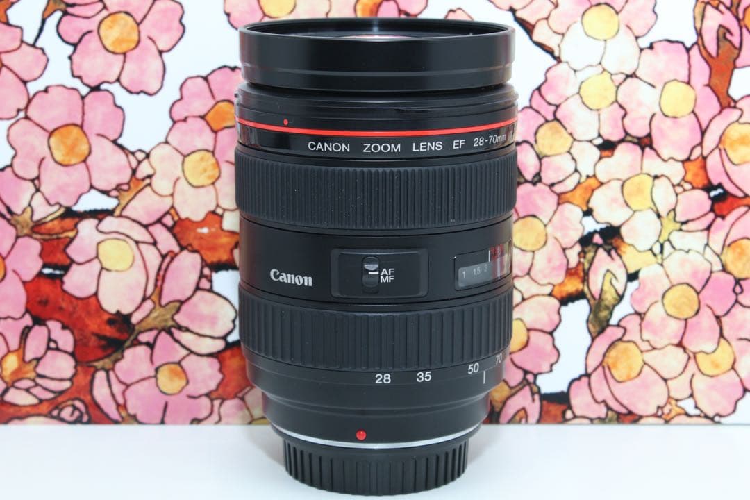 ❤大口径Lレンズ❤キヤノン EF 28-70mm f2.8 L USM❤