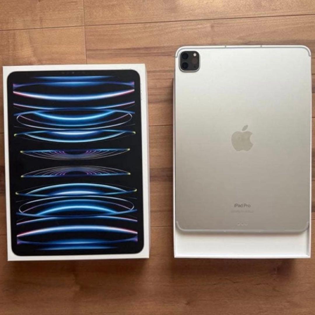 【超美品】iPad Pro11インチ512GB Wi-Fi+Cellular
