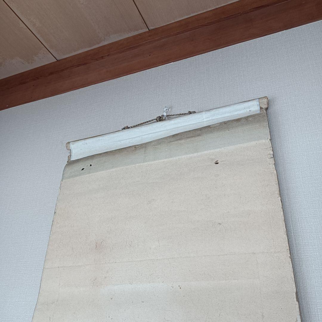 Yocchan 松田杏亭 掛軸 開運 縁起物 おもてなし 鯉 桜 日本美術