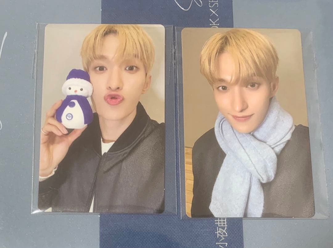 seventeen DxS Serenade ライブ　特典 トレカ　ドギョム