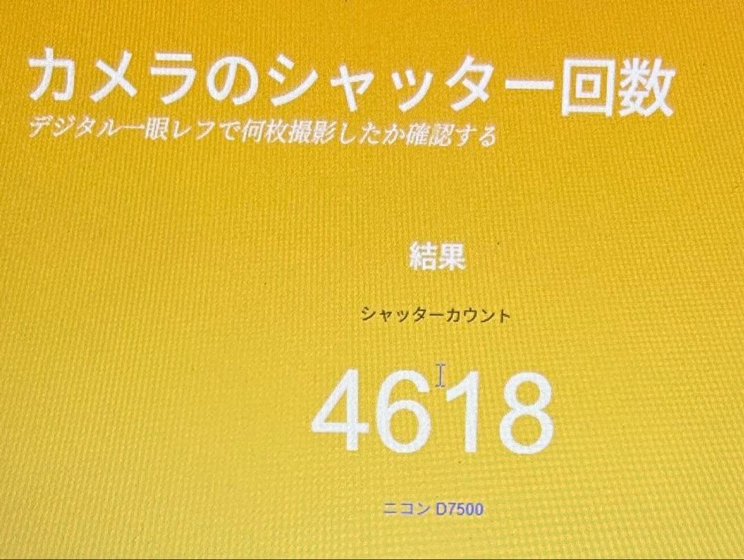 Nikon D7500 ダブルレンズ 極上美品☘️家族写真に　超高性能 高画質