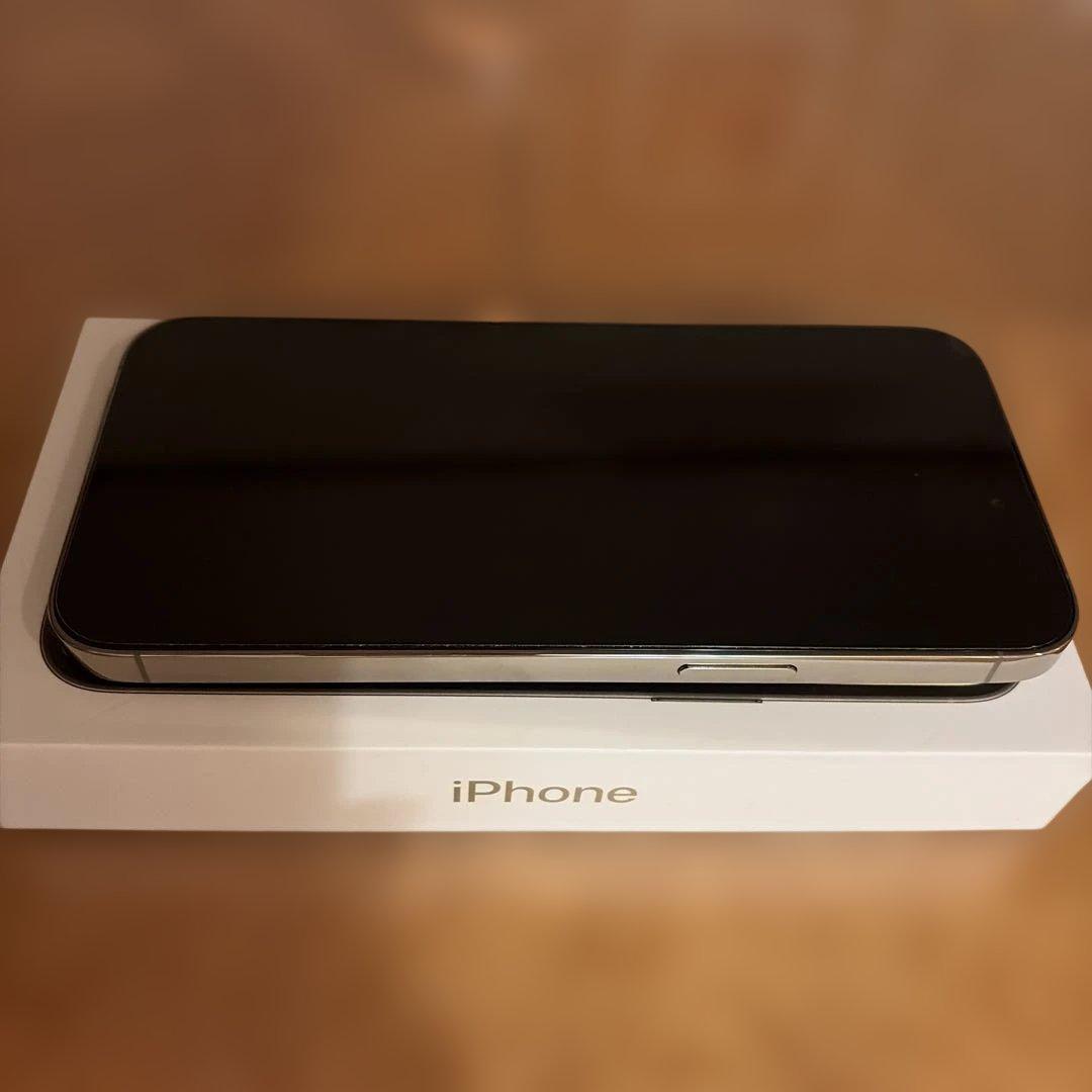 iPhone 14 Pro Max ゴールド シリコンケーブル付き