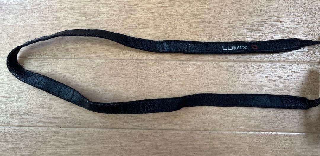 LUMIX DMC-GM1ミラーレスカメラ 12-32レンズ付き