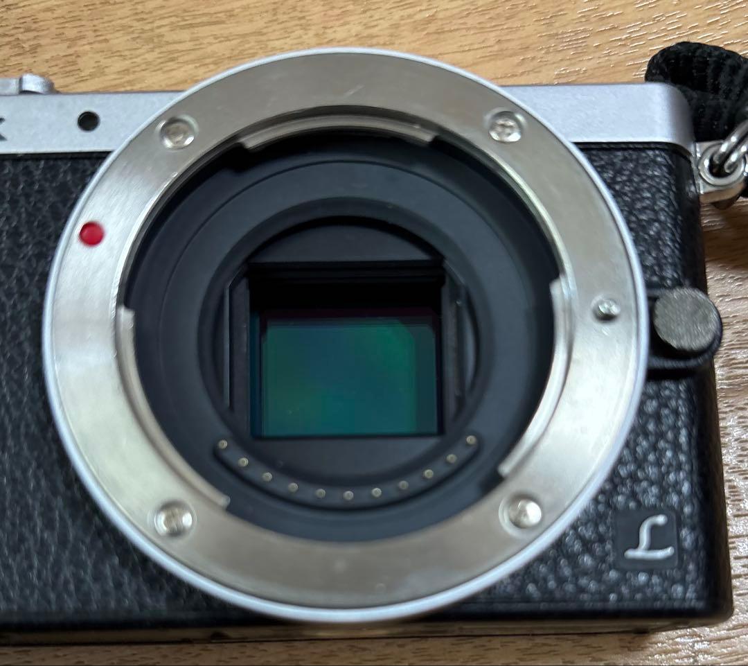 LUMIX DMC-GM1ミラーレスカメラ 12-32レンズ付き