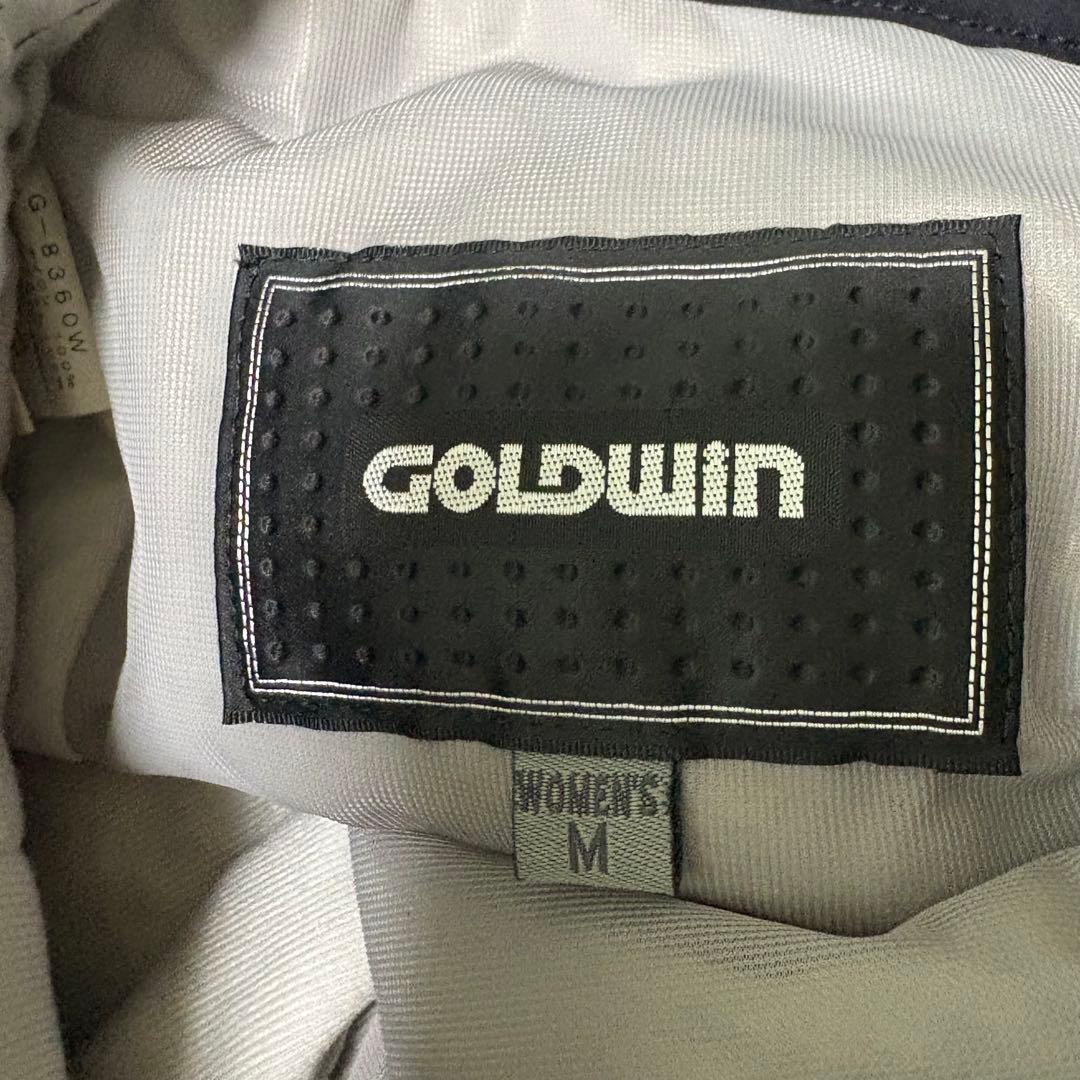 Goldwin ゴールドウィン　スキーパンツ レディース ブラック M