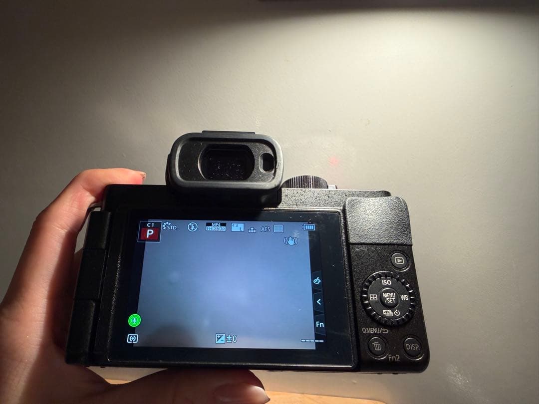 【ピッコロ】LUMIX DC-G100D コンパクトデジタルカメラ