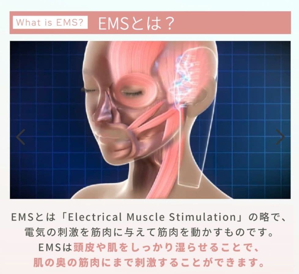 ヤーマンmyse ミーゼスカルプリフト プラスポーチセットMS82W1✨頭皮✨顔