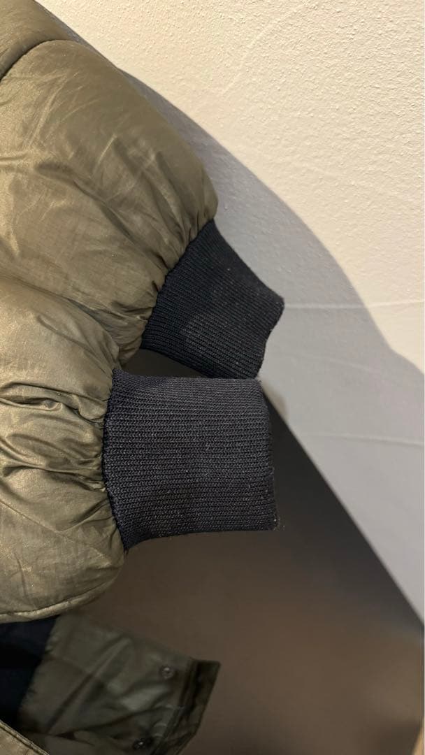 ザノースフェイスTHE NORTH FACEエコダウン