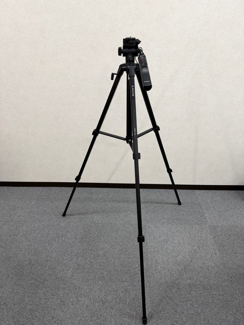 SONY HDR-SR12 ビデオカメラ 本体