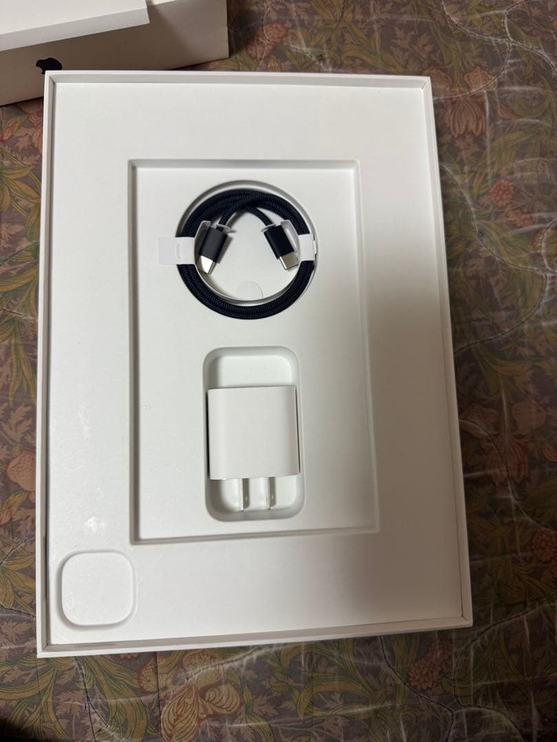 Apple iPad Pro 11インチ 256GB M4