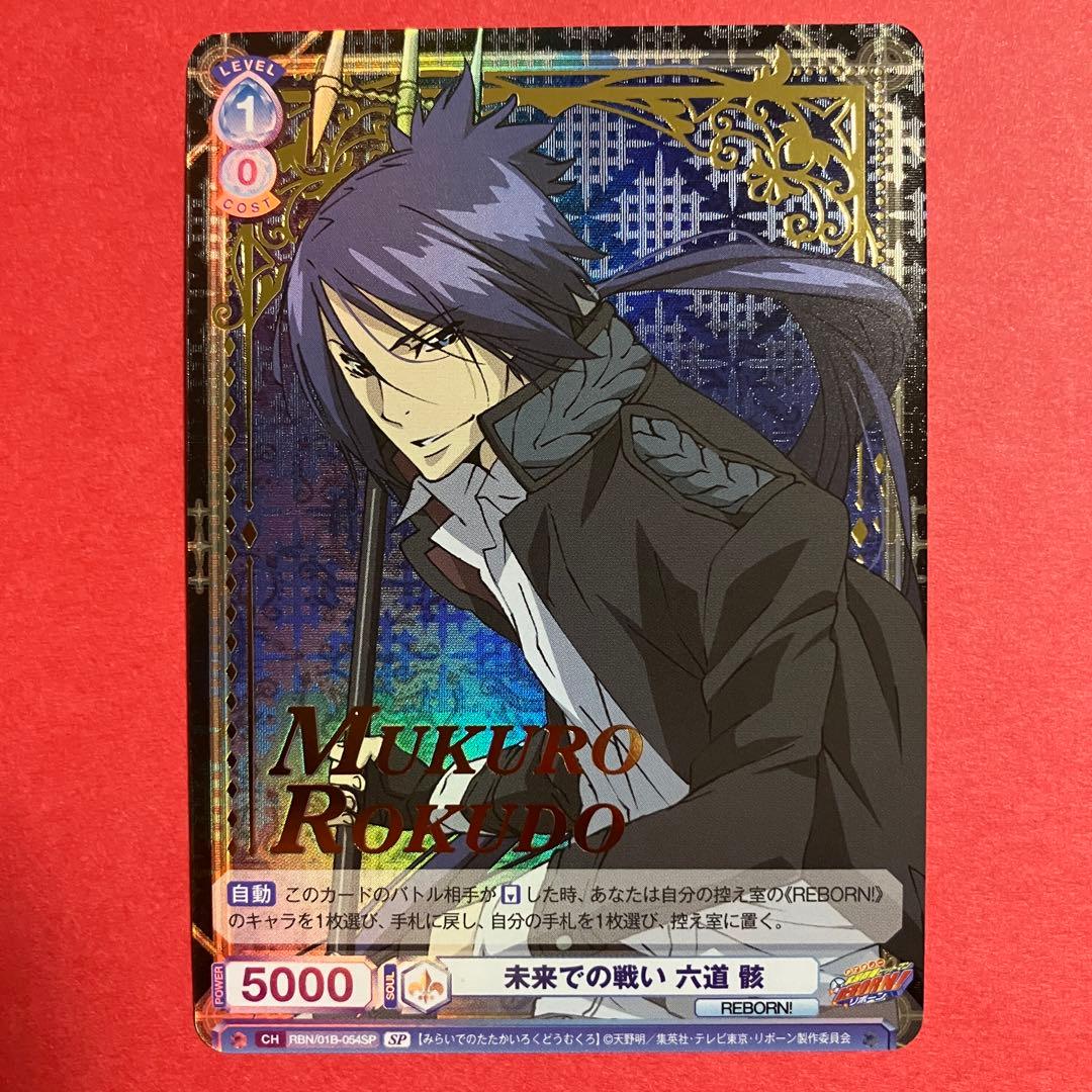 ヴァイスシュバルツブラウ　未来での戦い 六道骸　sp リボーン