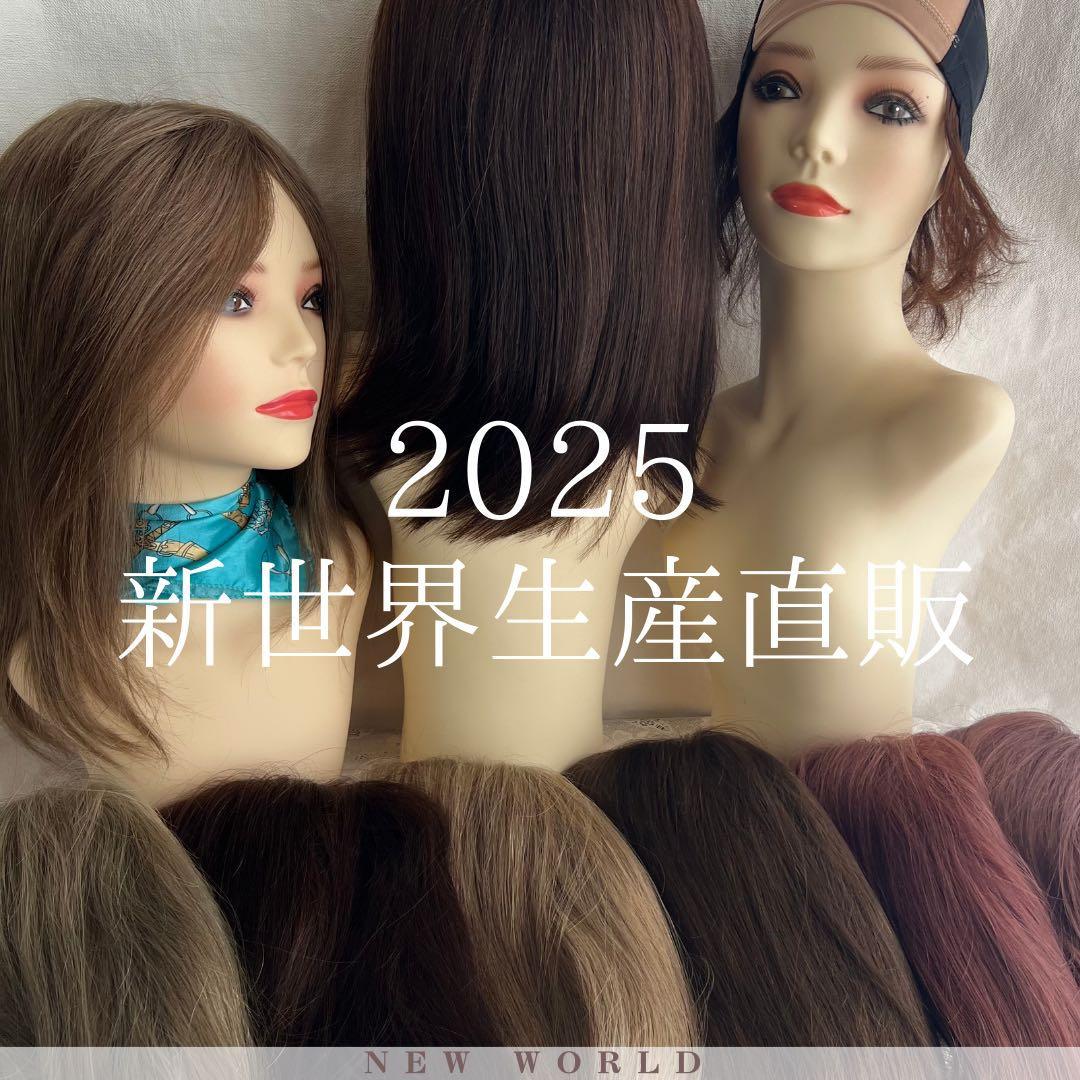 新世界　医療用フルウィッグ高級人毛100% シルクスキン 【総手植え】通気耐久性