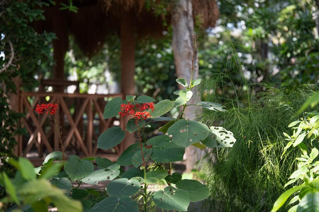 SIGMA 70mm F2.8 DG MACRO Lマウント