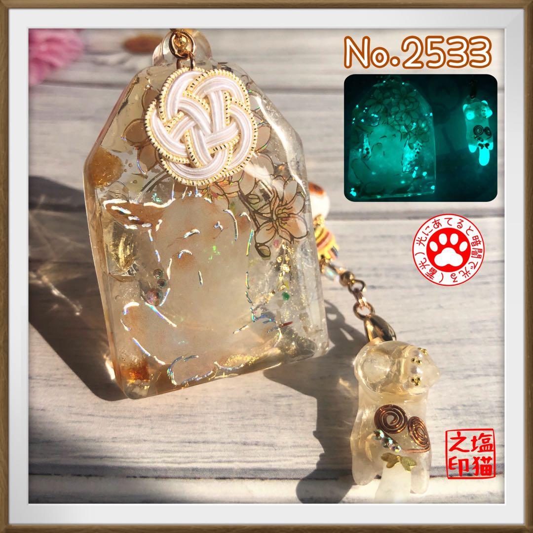 桔梗 サマ♡10点☆6/1